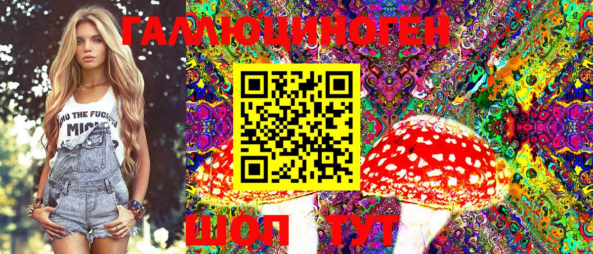 Спасск-Дальний  где продают наркотики  Вход с VPN  Псилоцибиновые грибы MAGIC MUSHROOMS 